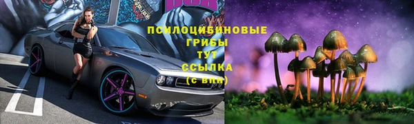 ПСИЛОЦИБИНОВЫЕ ГРИБЫ Верея