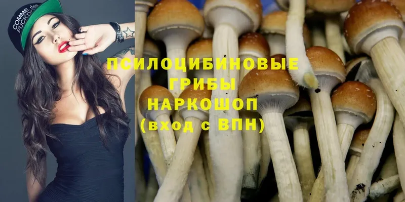 Галлюциногенные грибы Psilocybine cubensis  гидра рабочий сайт  Ртищево 